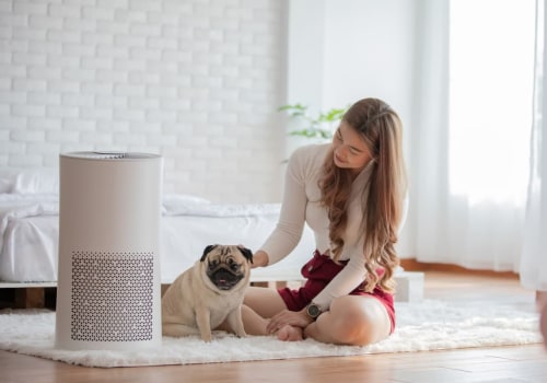 Best HVAC Air Quality Solutions: 12x30x1 Air Filters Guide to Choosing the Right Filter and How the Best Air Purifier Can Enhance Your Indoor Environment